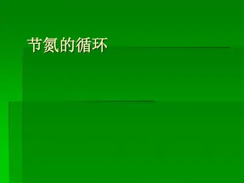 氮的循环ppt (1)