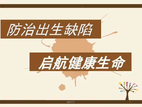 出生缺陷防控简要  ppt课件