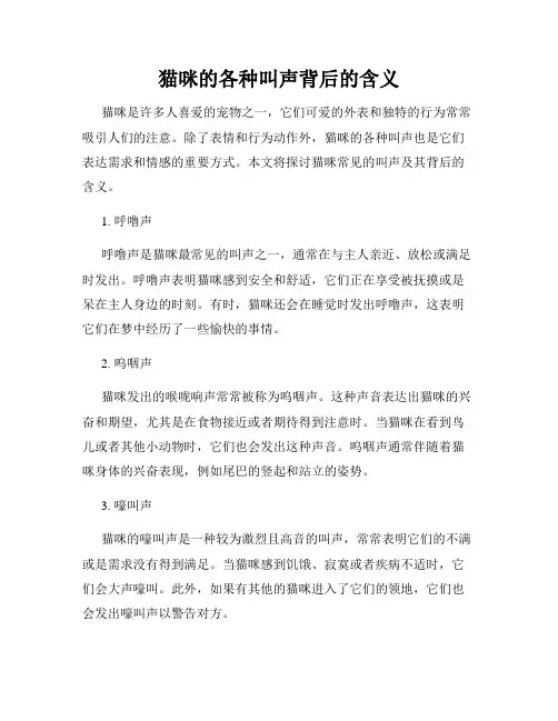 猫咪的各种叫声背后的含义