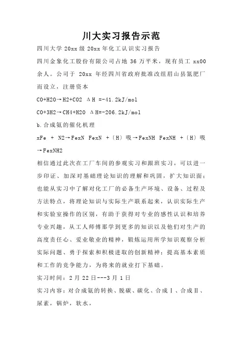 川大实习报告示范