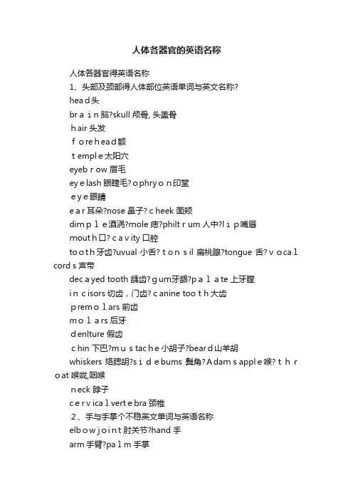 人体各器官的英语名称