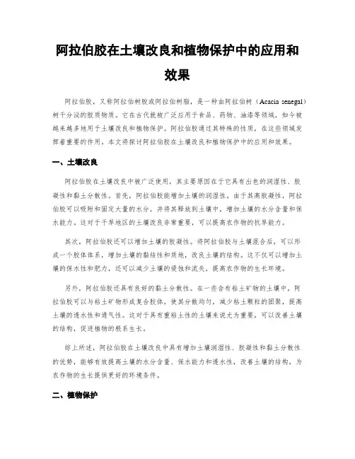 阿拉伯胶在土壤改良和植物保护中的应用和效果