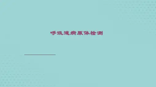呼吸道病原体检测【共68张PPT】
