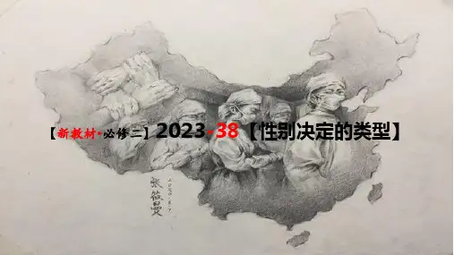 13 性别决定的类型  (一轮复习新教材)