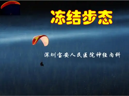 冻结步态2