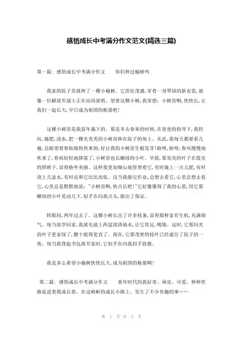 感悟成长中考满分作文范文(精选三篇)