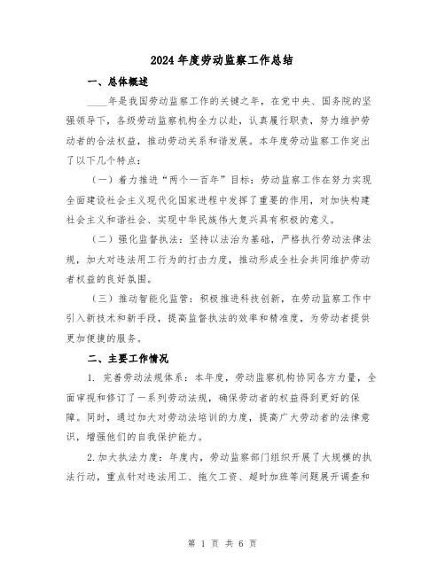 2024年度劳动监察工作总结(2篇)