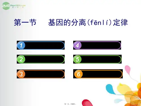 高中生物 2.3.1基因的分离定律课件 苏教版必修2 