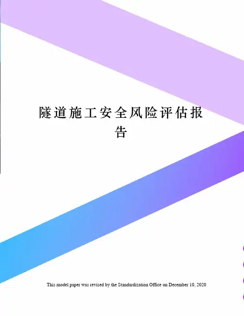 隧道施工安全风险评估报告