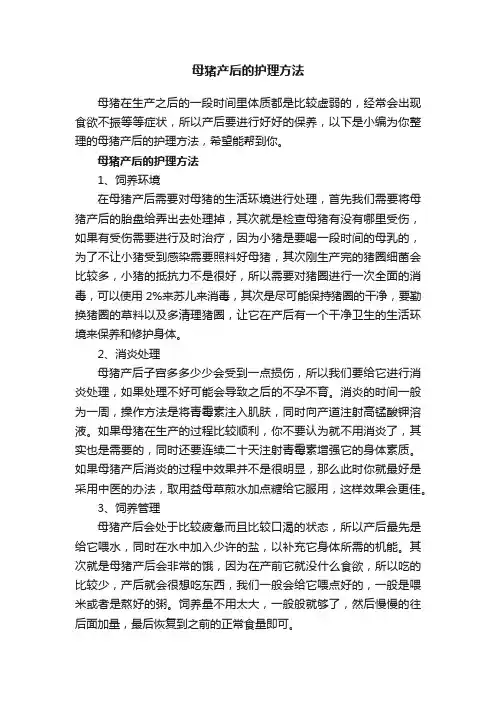 母猪产后的护理方法