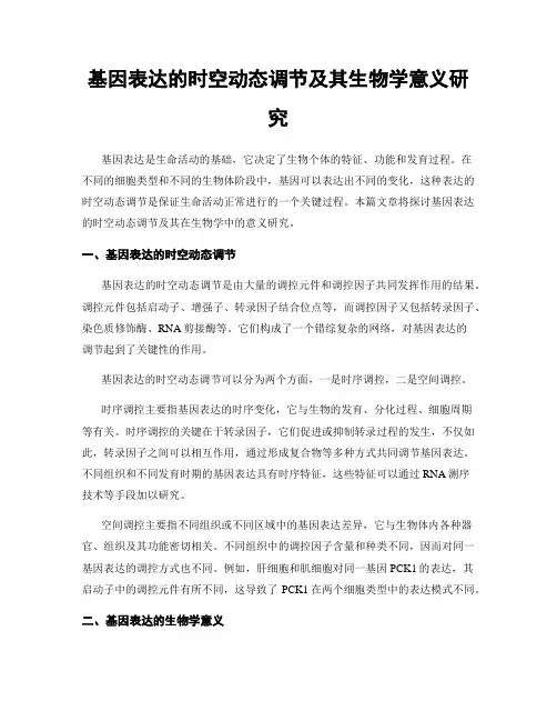 基因表达的时空动态调节及其生物学意义研究