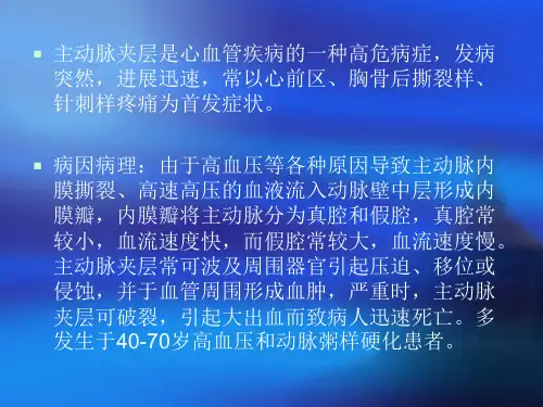 主动脉夹层动脉瘤PPTPPT课件