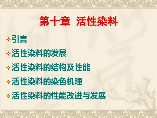 染料合成与应用 11活性染料1