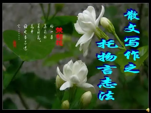 散文写作之托物言志法