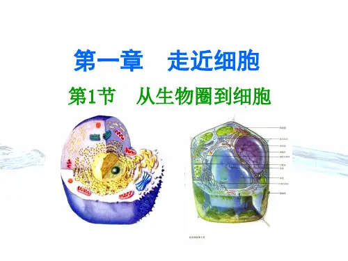 高中生物必修一-全册教材课件