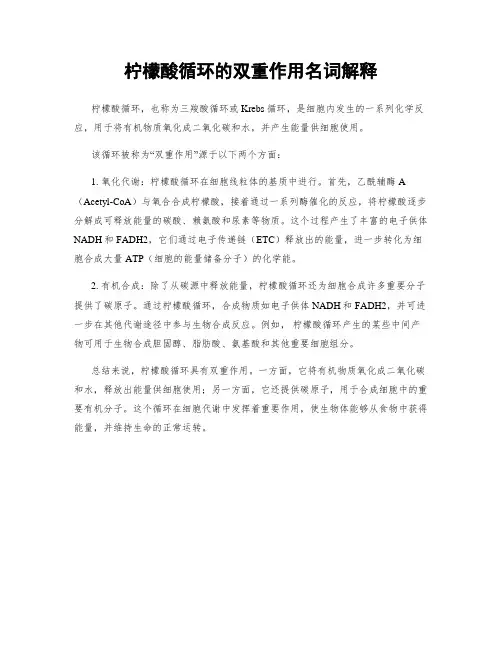 柠檬酸循环的双重作用名词解释