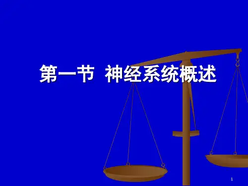 神经系统概述