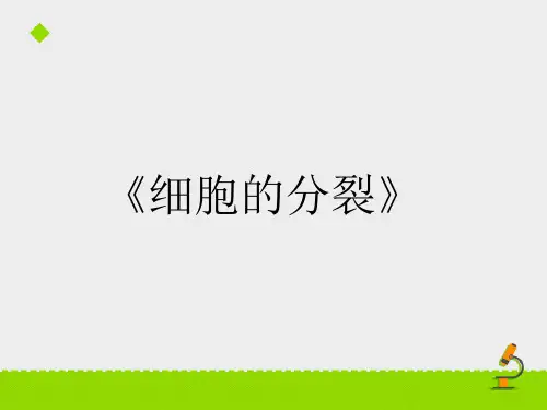 《细胞的分裂》课件(鲁科版(五四制))