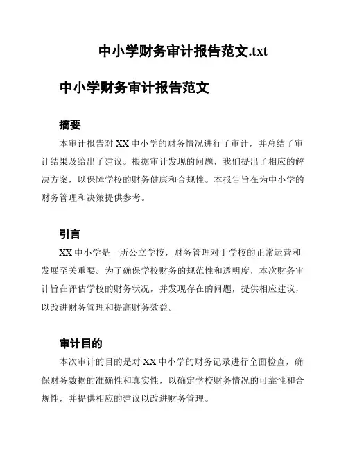 中小学财务审计报告范文