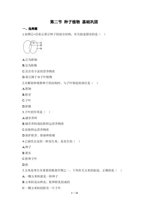 人教版生物七年级上册3.1.2《种子植物》同步练(含解析)