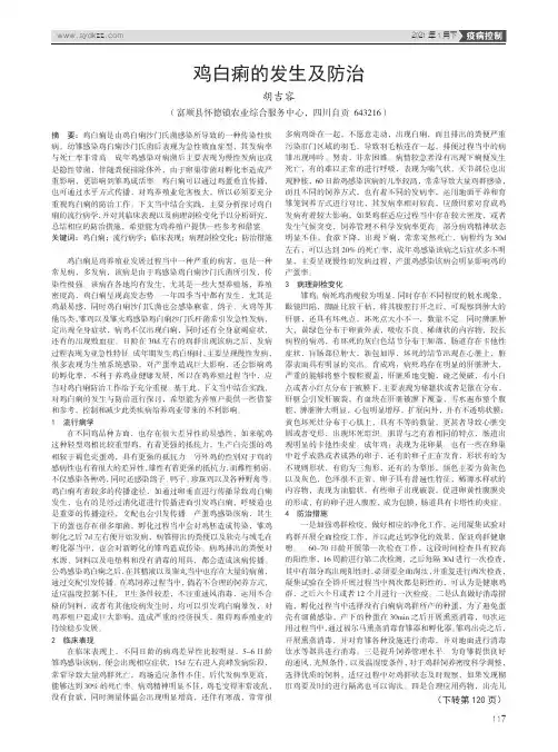 鸡白痢的发生及防治