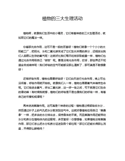 植物的三大生理活动