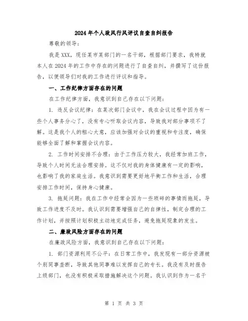 2024年个人政风行风评议自查自纠报告
