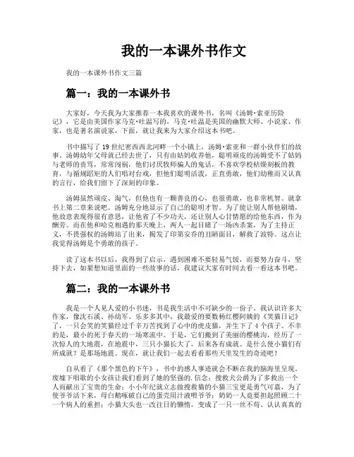 我的一本课外书作文