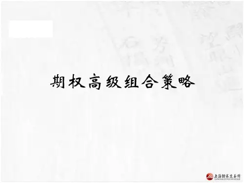 期权高级组合策略