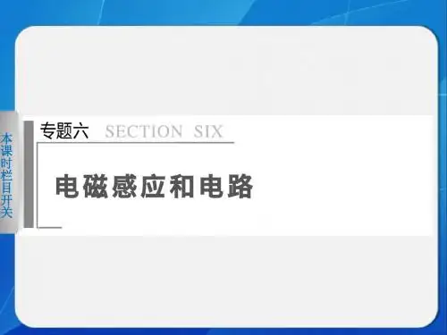 高三物理二轮复习专题课件精编：专题六 第1课时 电磁感应问题的综合分析