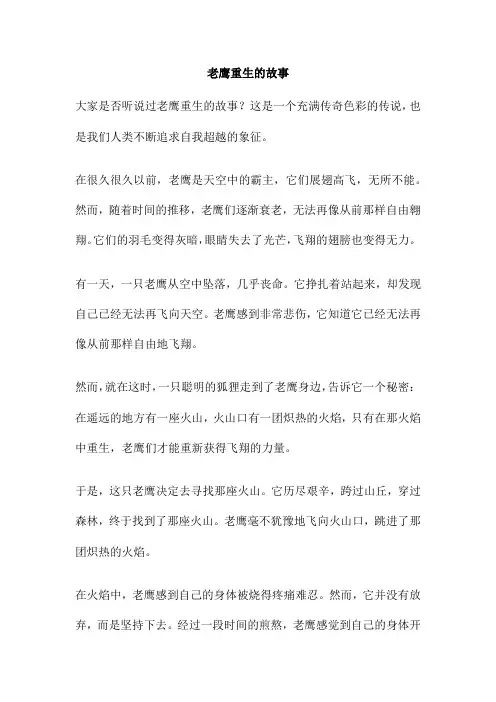 老鹰重生的故事