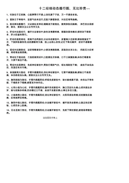 十二经络动态循行图，无比珍贵~~