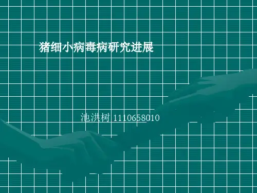猪细小病毒病