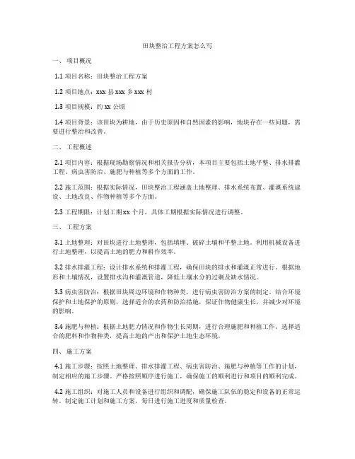田块整治工程方案怎么写