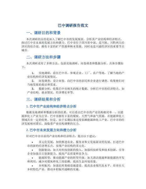 巴中调研报告范文