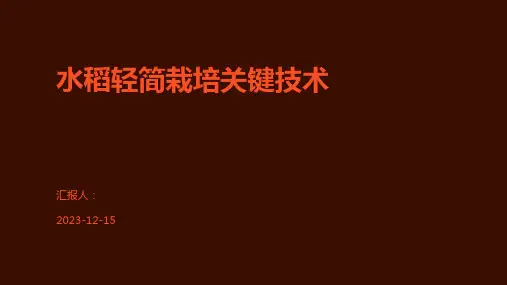 水稻轻简栽培关键技术