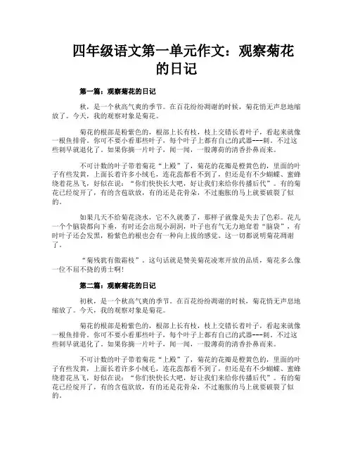 四年级语文第一单元作文：观察菊花的日记