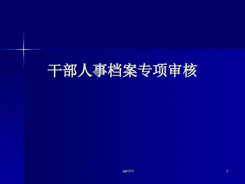 干部人事档案专项审核  ppt课件