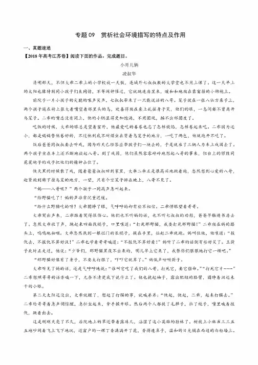 专题09赏析社会环境描写的特点及作用-2020年高考语文小说阅读知识梳理+考点精讲精练（解析版）