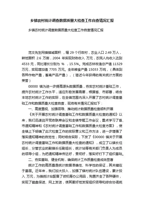 乡镇农村统计调查数据质量大检查工作自查情况汇报