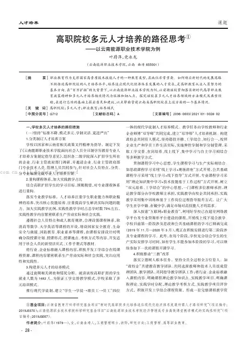 高职院校多元人才培养的路径思考——以云南能源职业技术学院为例