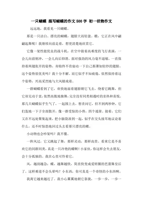 一只蝴蝶 描写蝴蝶的作文500字 初一状物作文