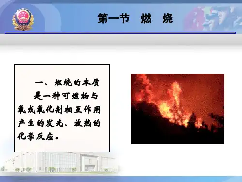 燃烧与火灾PPT课件