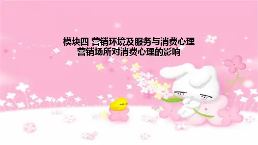 《消费心理学》课件：营销场所对消费心理的影响