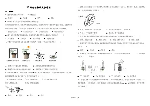绿色植物的光合作用测试题