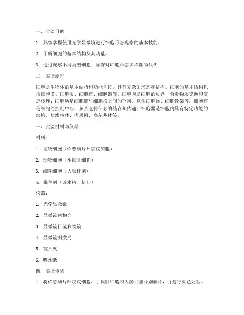 细胞形态结构的观察实验报告