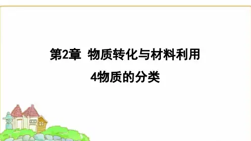 浙教版九年级科学上册2.4物质的分类课件