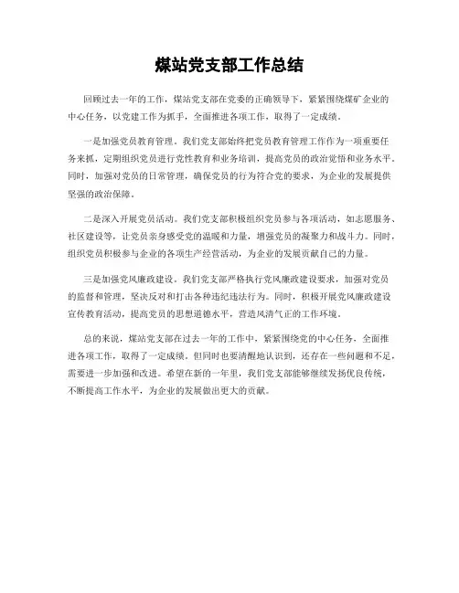 煤站党支部工作总结