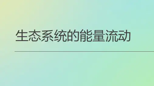 人教版高中生物必修三生态系统的能量流动-ppt精品课件1