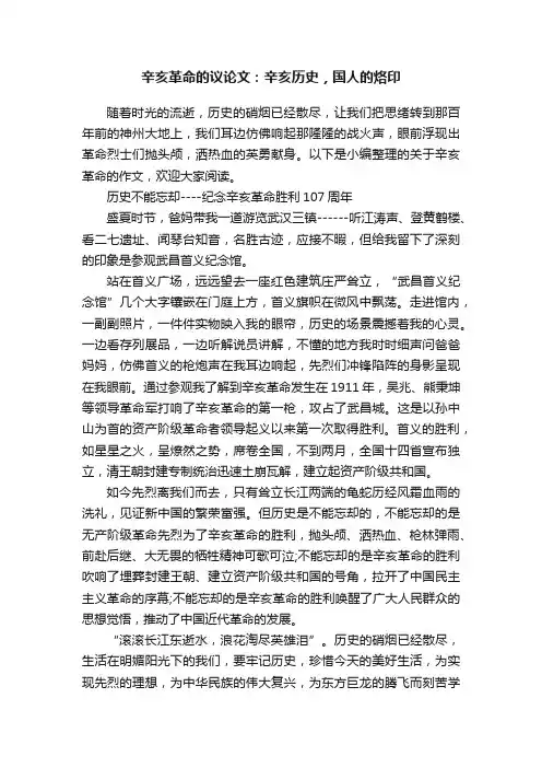 辛亥革命的议论文：辛亥历史，国人的烙印